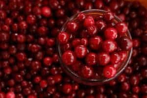 Cranberry