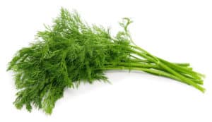 Benefits of Dill and Why You Should Be Eating It