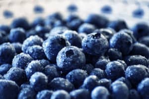 How to Freeze Blueberries to Make Them Last