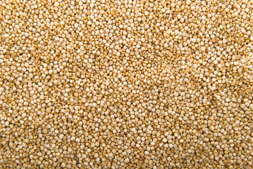 what is quinoa